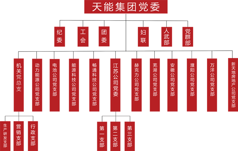 云顶国际建团党委组织架构
